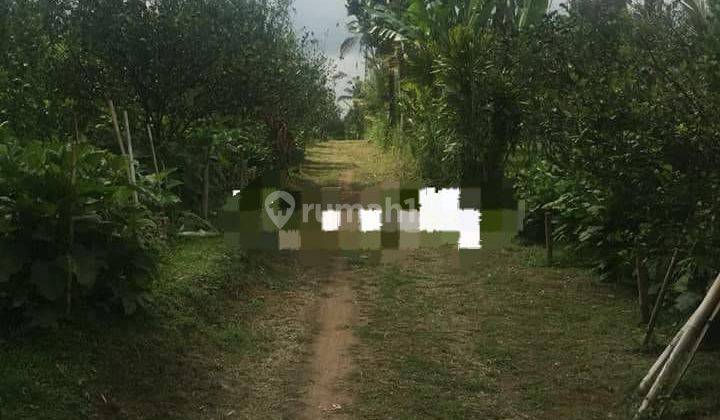 SURE CLOSING LAND FOR SALE WITH RIVER VIEW IN TEGALLALANG UBUD GIANYAR LOCATION 1