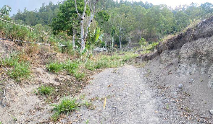 PASTI CLOSING DI JUAL TANAH VIEW DANAU BATUR KAVLING LOKASI KINTAMANI BANGLI
Luas Tanah Sesuai plot 2