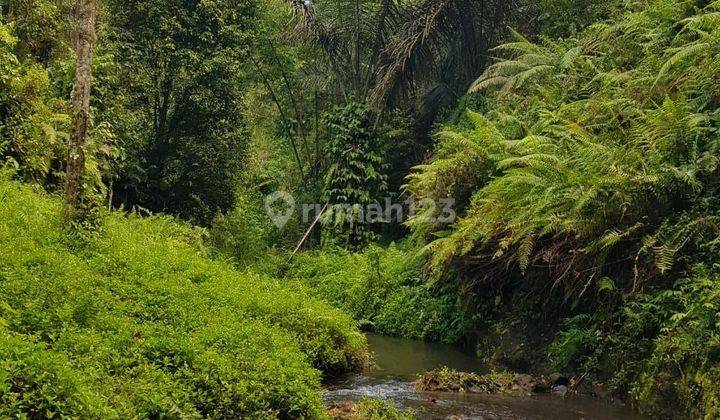 PASTI CLOSING DI JUAL TANAH VIEW SAWAH & SUNGAI LOKASI PUHU PAYANGAN UBUD GIANYAR 1