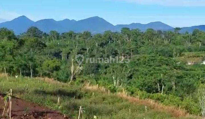 SURE CLOSING FOR SALE LAND WITH VALLEY & HILL VIEW, KATUNG KINTAMANI LOCATION 1