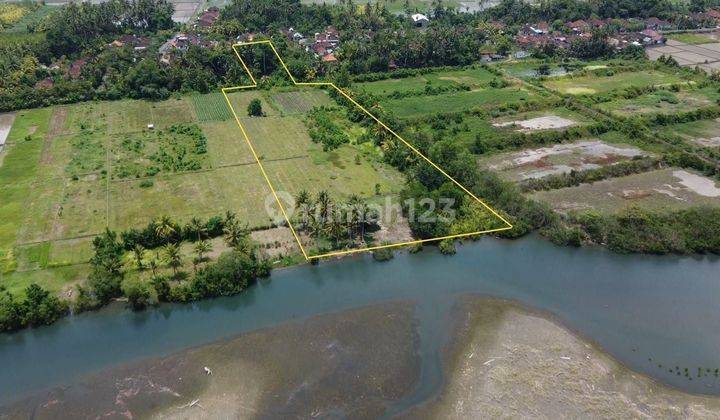 SURE DEAL FOR SALE LAND LOSS SUNGAI LOCATION DELOD BERAWAH JEMBRANA 1