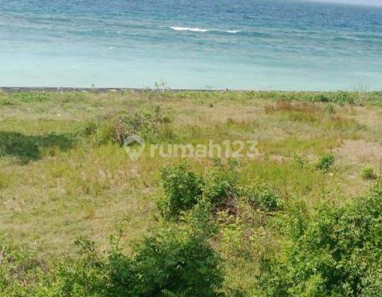 SURE CLOSING FOR SALE LAND LOSS BEACH VIEW SEA LOCATION PED NUSA PENIDA KLUNGKUNG 1