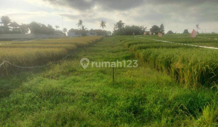 CERTAINLY CLOSING FOR RENT LAND AT THE BERABAN TABANAN SINGING LOCATION 1