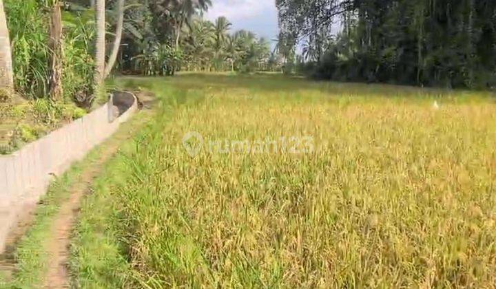 PASTI CLOSING DI JUAL TANAH LOKASI KENDERAN UBUD GIANYAR 1