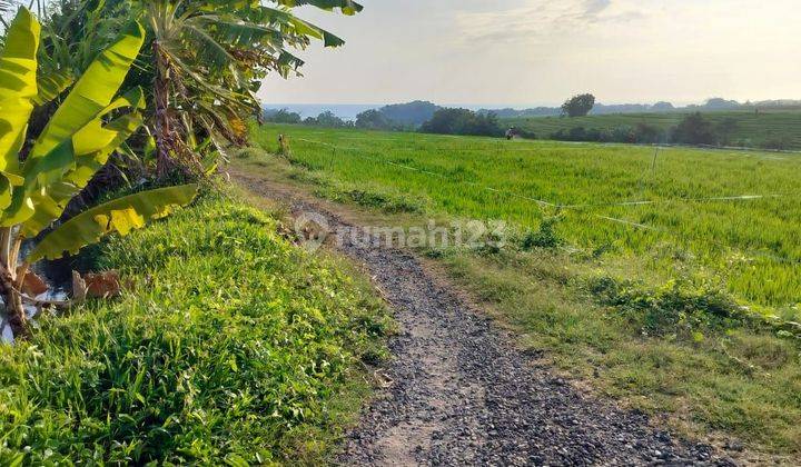 DEFINITELY CLOSING FOR SALE LAND LOCATION PASUT TIBIBIU KERAMBITAN TABANAN 1