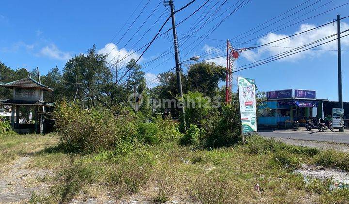 PASTI CLOSING DI JUAL TANAH LOKASI KINTAMANI BANGLI 2