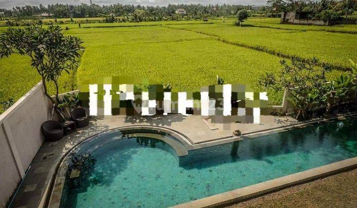 Pasti Closing Di Jual Villa Lokasi Mas Ubud Gianyar 1