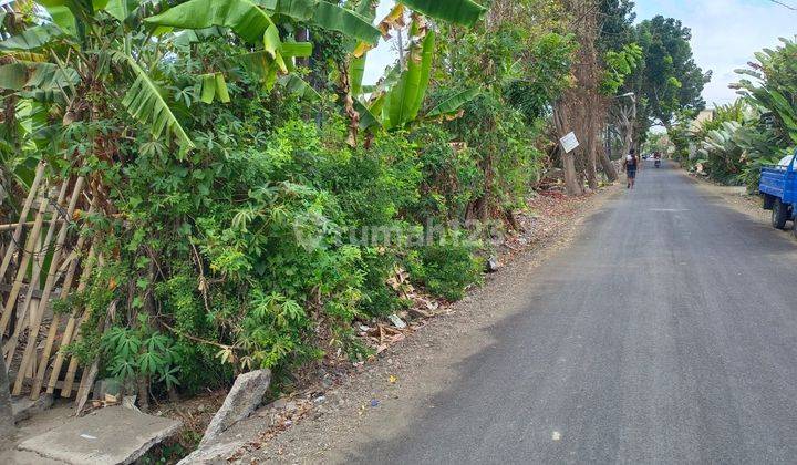 PASTI CLOSING DI SEWAKAN TANAH LOKASI SEKAR TUNJUNG GATOT SUBROTO TIMUR DENPASAR TIMUR 1