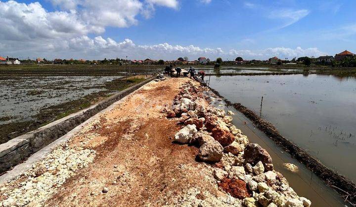 PASTI CLOSING DI JUAL TANAH LOKASI TUNGGAK BINGIN SANUR DENPASAR SELATAN 2