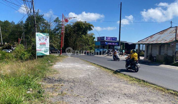 PASTI CLOSING DI JUAL TANAH LOKASI KINTAMANI BANGLI 1