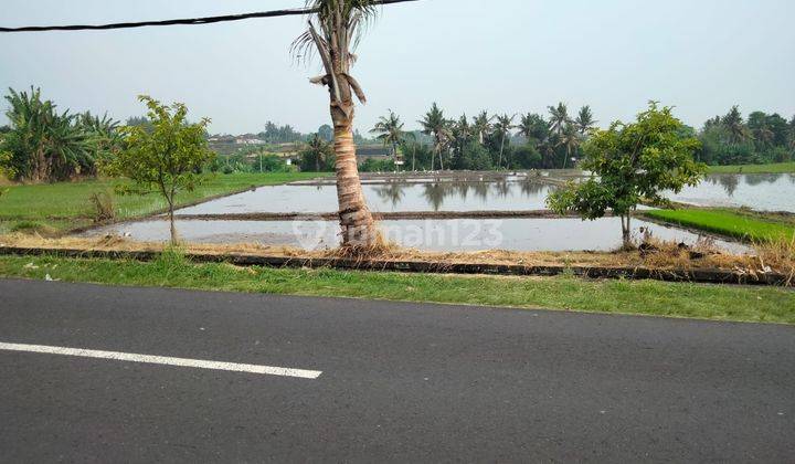 SURELY CLOSING FOR SALE LAND IN GUBUG TABANAN LOCATION
 1