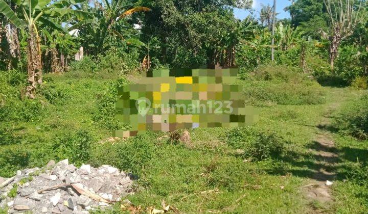 Pasti Cloaing Di Sewakan Tanah Lokasi Batuan Kaler Sukawati Gianyar 1