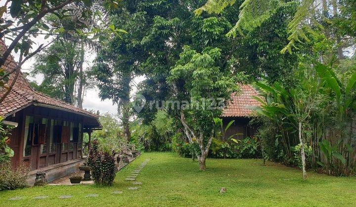 SURE CLOSING FOR SALE LAND LOSS SUNGAI BONUS JOGLO BUILDING LOCATION PAYANGAN UBUD GIANYAR
 1