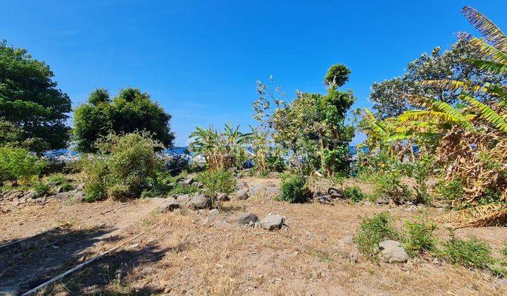 PASTI CLOSING DI JUAL TANAH LOSS PANTAI VIEW LAUT LOKASI AMED KARANGASEM
 1