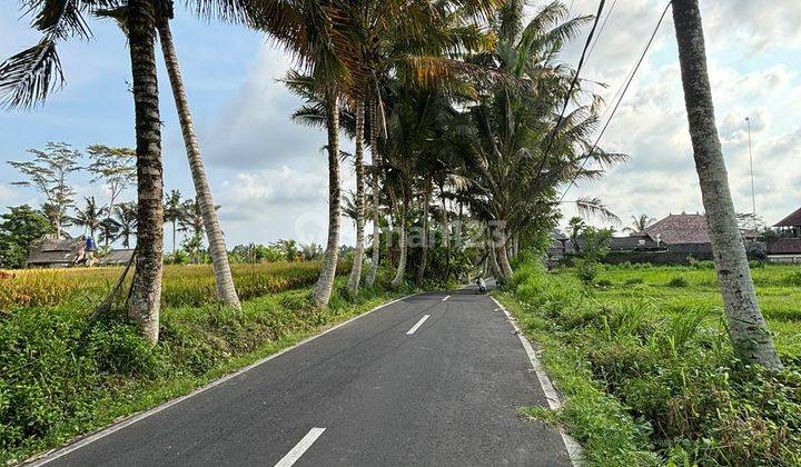 PASTI CLOSING DI JUAL TANAH VIEW SAWAH PINGGIR JALAN LOKASI SANDING UBUD GIANYAR
 1