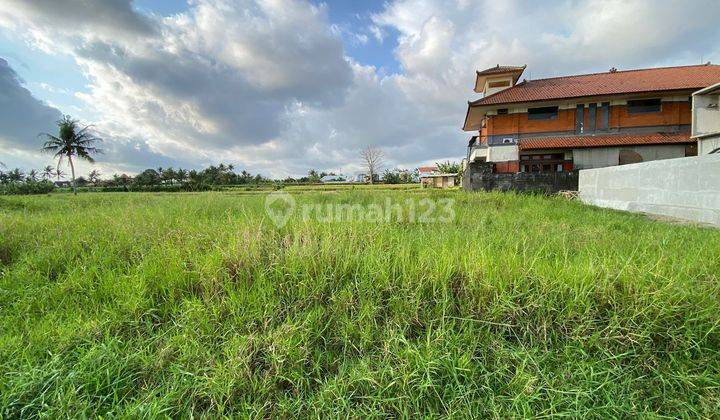 SURE CLOSING FOR SALE LAND IN SINGAKERTA UBUD GIANYAR LOCATION 1