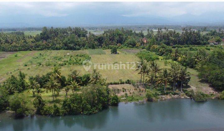 SURE DEAL FOR SALE LAND LOSS SUNGAI LOCATION DELOD BERAWAH JEMBRANA 2