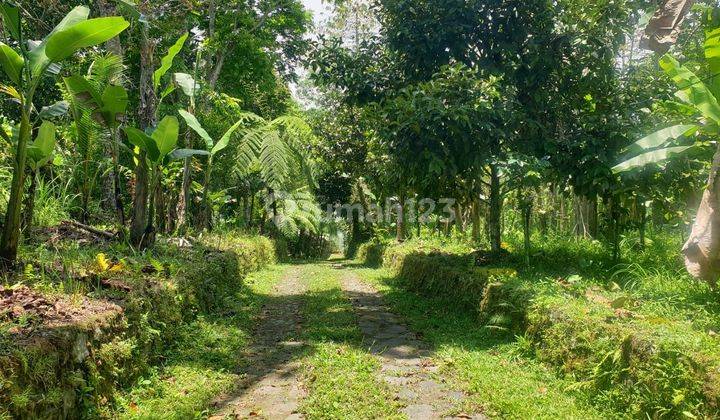 SURE CLOSING FOR SALE LAND LOSS SUNGAI BONUS JOGLO BUILDING LOCATION PAYANGAN UBUD GIANYAR
 2