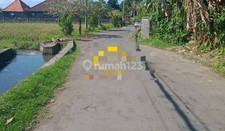 Pasti Cloaing Di Sewakan Tanah Lokasi Batuan Kaler Sukawati Gianyar 2