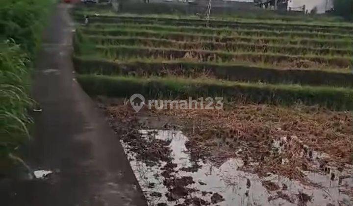 Pasti Closing Di Jual Tanah Lokasi Tumbak Bayuh Pererenan Canggu Kuta Utara Badung 1