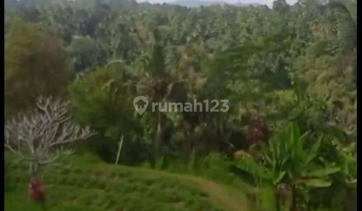 SO SO SOS SO SO SOS FOR SALE LAND VIEW RIVER & RICE FIELDS LOCATION SENGAH RENDANG KARANGASEM 1