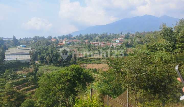 Tanah Perkebunan di Kolonel Masturi Lembang Tanah Perkebunan di Kolonel Masturi Lembang