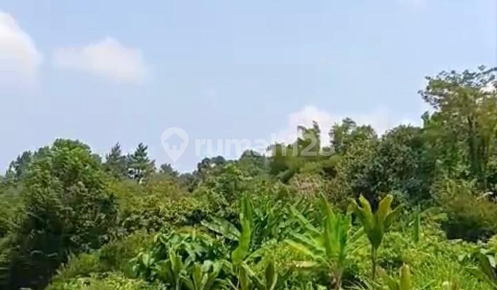 Tanah Luas Cocok untuk Villa di Subang Jawa Barat