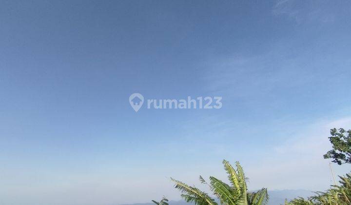 PASTI CLOSING DI JUAL TANAH VIEW LAUT & LEMBAH LOKASI MUNDUK TAMBLINGAN BULELENG
 2