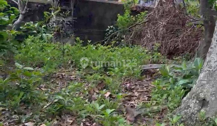 PASTI CLOSING DI JUAL TANAH LOKASI PANDAK GEDE NYANYI UTARA TABANAN 1