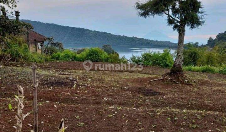 TOP URGENT FOR SALE LAKE VIEW & MOUNTAIN AGUNG LOCATION CANDIKUNING BEDUGUL TABANAN  2