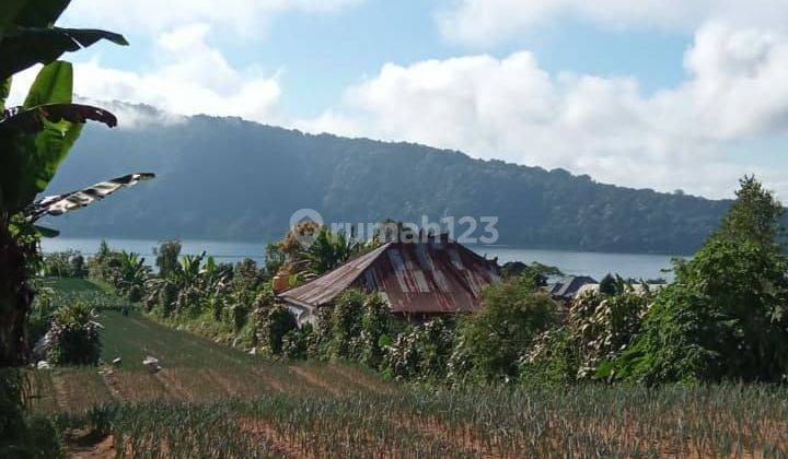 TOP URGENT FOR SALE LAKE VIEW & MOUNTAIN AGUNG LOCATION CANDIKUNING BEDUGUL TABANAN  1