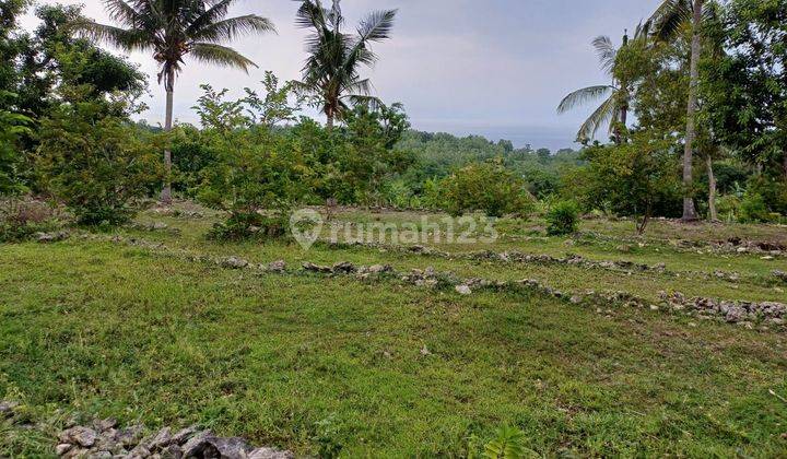 TOP URGENT FOR SALE LAND LOCATION MUNDUK BULELENG  2