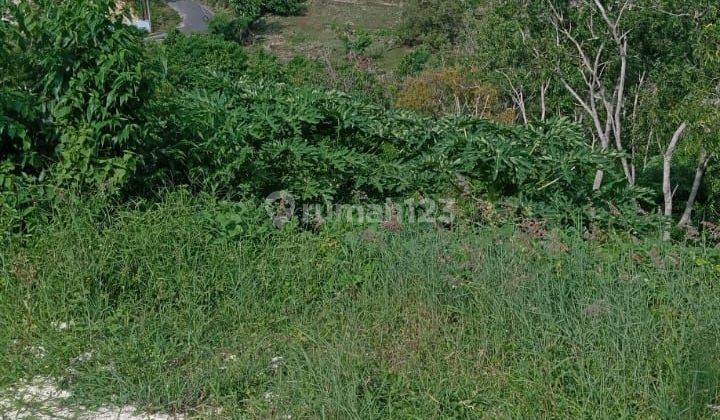 TOP URGENT LAND FOR SALE IN PECATU SOUTH KUTA BADUNG LOCATION 2