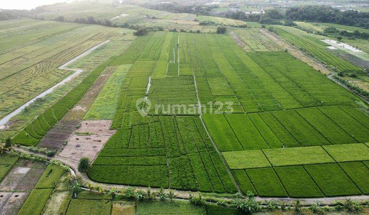 TOP URGENT FOR SALE LAND LOCATION KELATING KERAMBITAN TABANAN  2