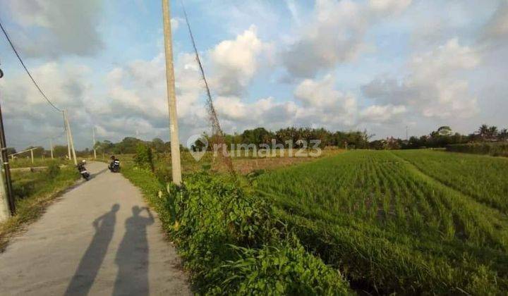 TOP URGENT DI JUAL TANAH VIEW SAWAH LOKASI BELALANG KEDUNGU KEDIRI TABANAN 1