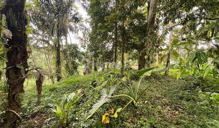 TOP URGENT DI JUAL TANAH LOKASI TEGALLALANG UBUD GIANYAR  2