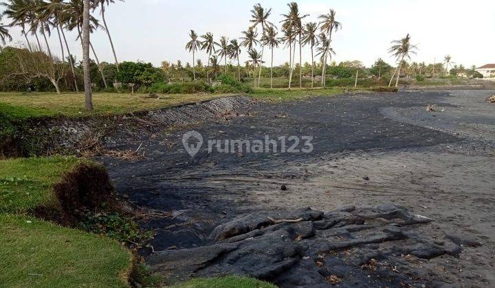 TOP URGENT DI JUAL TANAH LOSS PANTAI VIEW LAUT LOKASI BERABAN SELEMADEG TABANAN  2