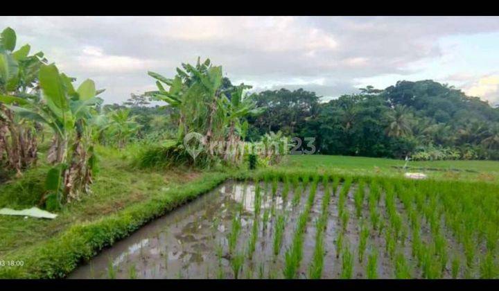 TOP URGENT DI JUAL TANAH LOKASI NYANYI BERABAN KEDIRI TABANAN  2