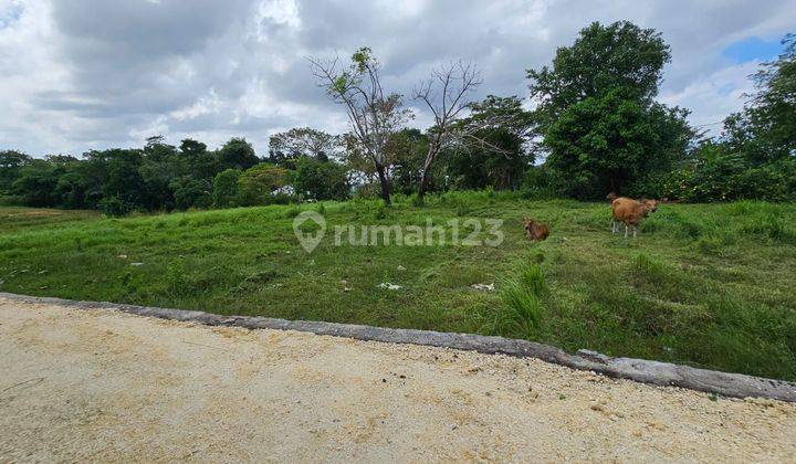 TOP URGENT DI JUAL TANAH LOKASI PERERENAN CANGGU KUTA UTARA BADUNG  1