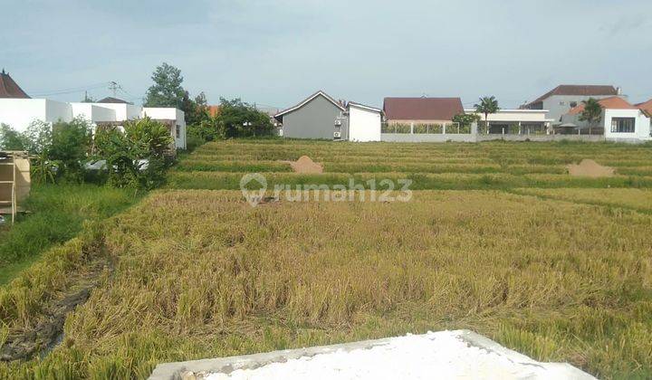 TOP URGENT FOR SALE LAND LOCATION PADONAN CANGGU KUTA UTARA BADUNG 
 1