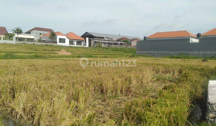 TOP URGENT FOR SALE LAND LOCATION PADONAN CANGGU KUTA UTARA BADUNG 
 2