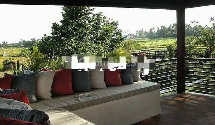 TOP URGENT VILLA FOR SALE LOCATION BATU BOLONG CANGGU KUTA UTARA BADUNG 2