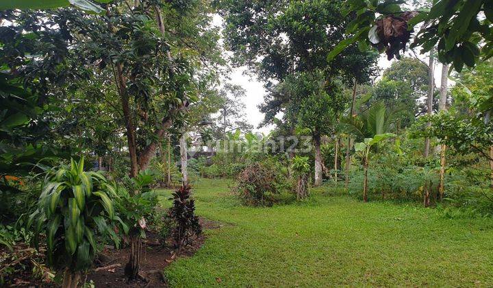 TOP URGENT DI JUAL TANAH VIEW SAWAH LOKASI MEKARSARI BATURITI TABANAN  2