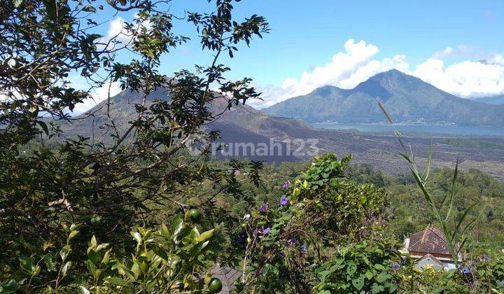 TOP URGENT DI JUAL TANAH VIEW DANAU & GUNUNG BATUR LOKASI KINTAMANI BANGLI  2