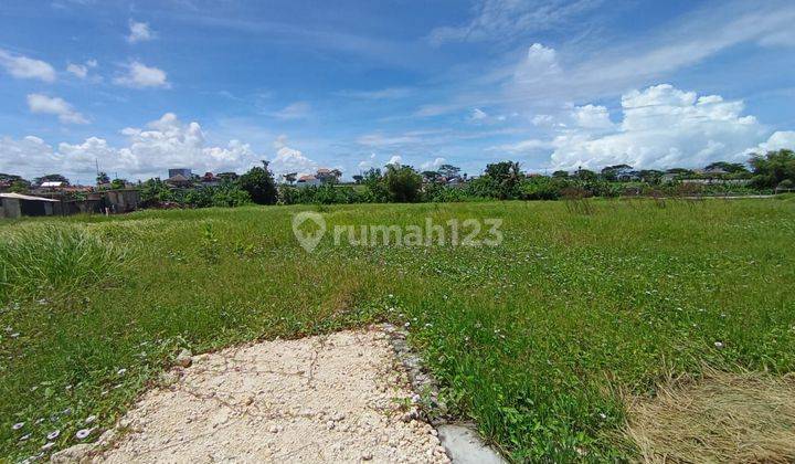 TOP URGENT LAND FOR SALE RIVERSIDE VIEW RICE POWDER LOCATION SESEH MUNGGU BERWI BADUNG  2