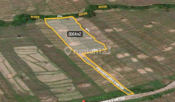 TOP URGENT LAND FOR SALE RIVERSIDE VIEW RICE POWDER LOCATION SESEH MUNGGU BERWI BADUNG  1