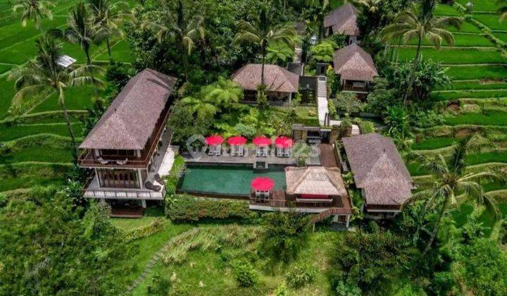 TOP URGENT FOR SALE VILLA VIEW VALLEY & HILL LOCATION PAYANGAN UBUD GIANYAR
 1