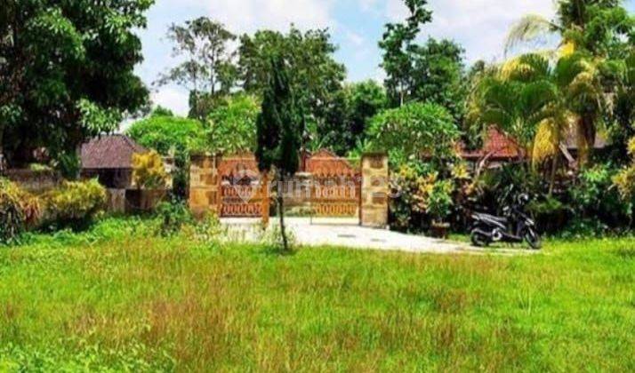 TOP URGENT LAND FOR SALE BONUS BUILDING LOCATION NEW BANJAR KEDIRI TABANAN  1