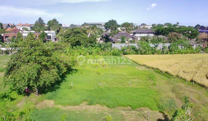 TOP URGENT DI JUAL TANAH VIEW SAWAH LOKASI BRAWA CANGGU KUTA UTARA BADUNG 
 2