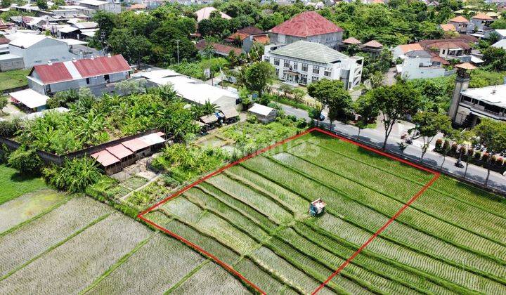 TOP URGENT FOR SALE LAND BESIDE THE ROAD LOCATION KEBO IWA DENPASAR BARAT 
 1